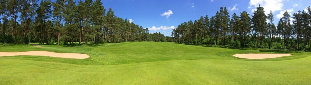 golf, green, fairway, forest, nature, trees, golf-club worpswede, golf course